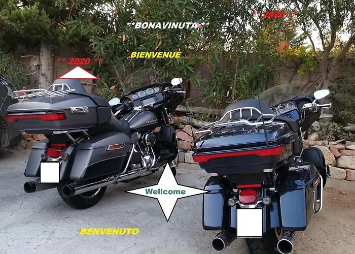 Colocha بيت للعطل